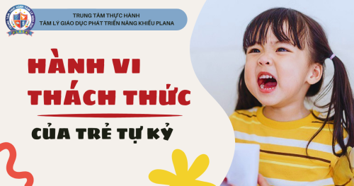 Hành Vi Thách Thức Ở Trẻ Tự Kỉ: Nguyên Nhân Và Cách Xử Lý Hiệu Quả.
