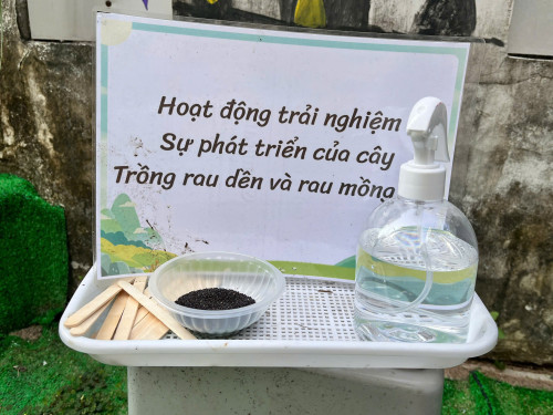 MẦM XANH HY VỌNG: KHI TRẺ ĐẶC BIỆT HỌC LÀM "NÔNG DÂN NHÍ"
