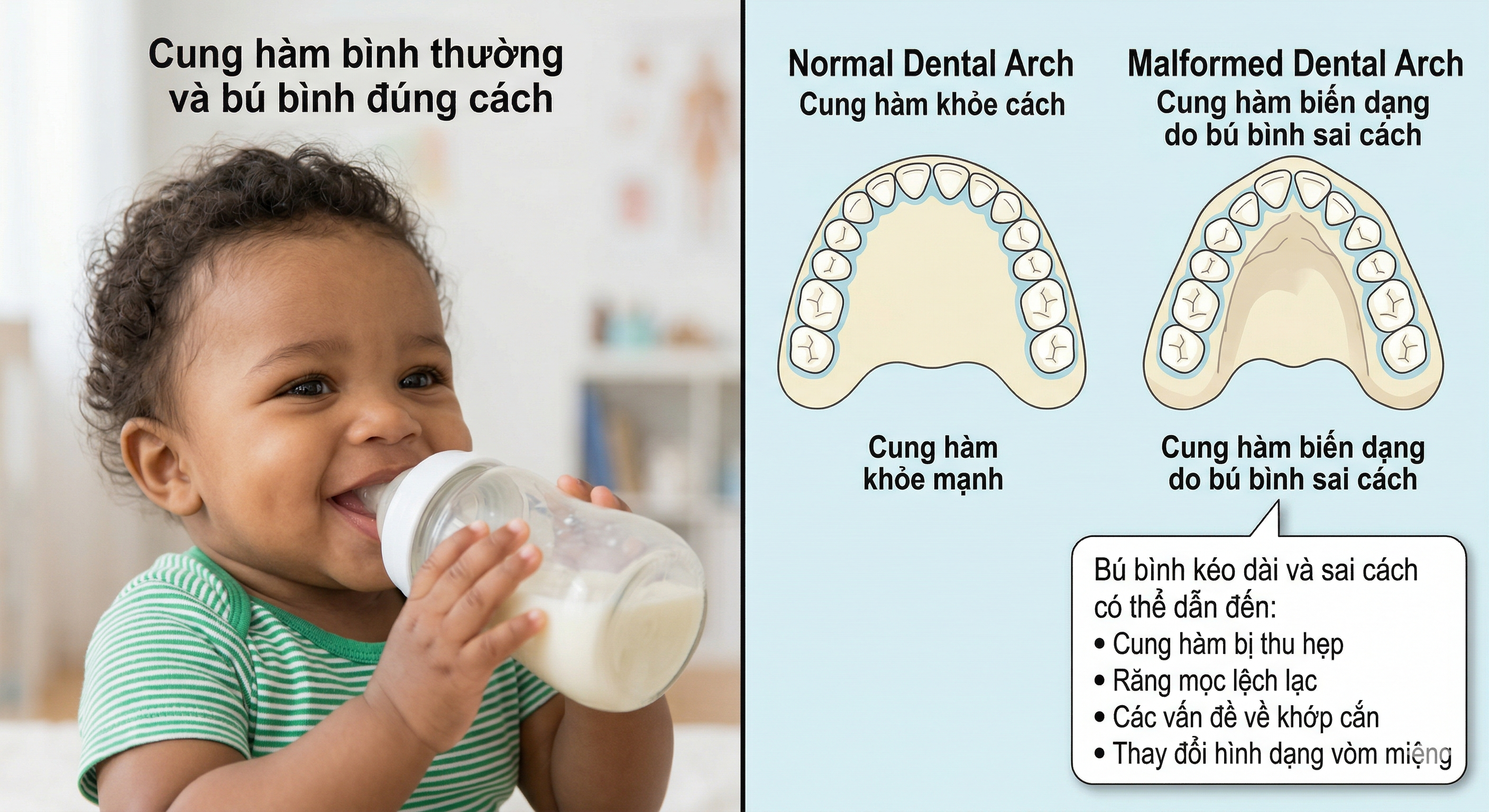 Gemini_Generated_Image_hop6m1hop6m1hop6