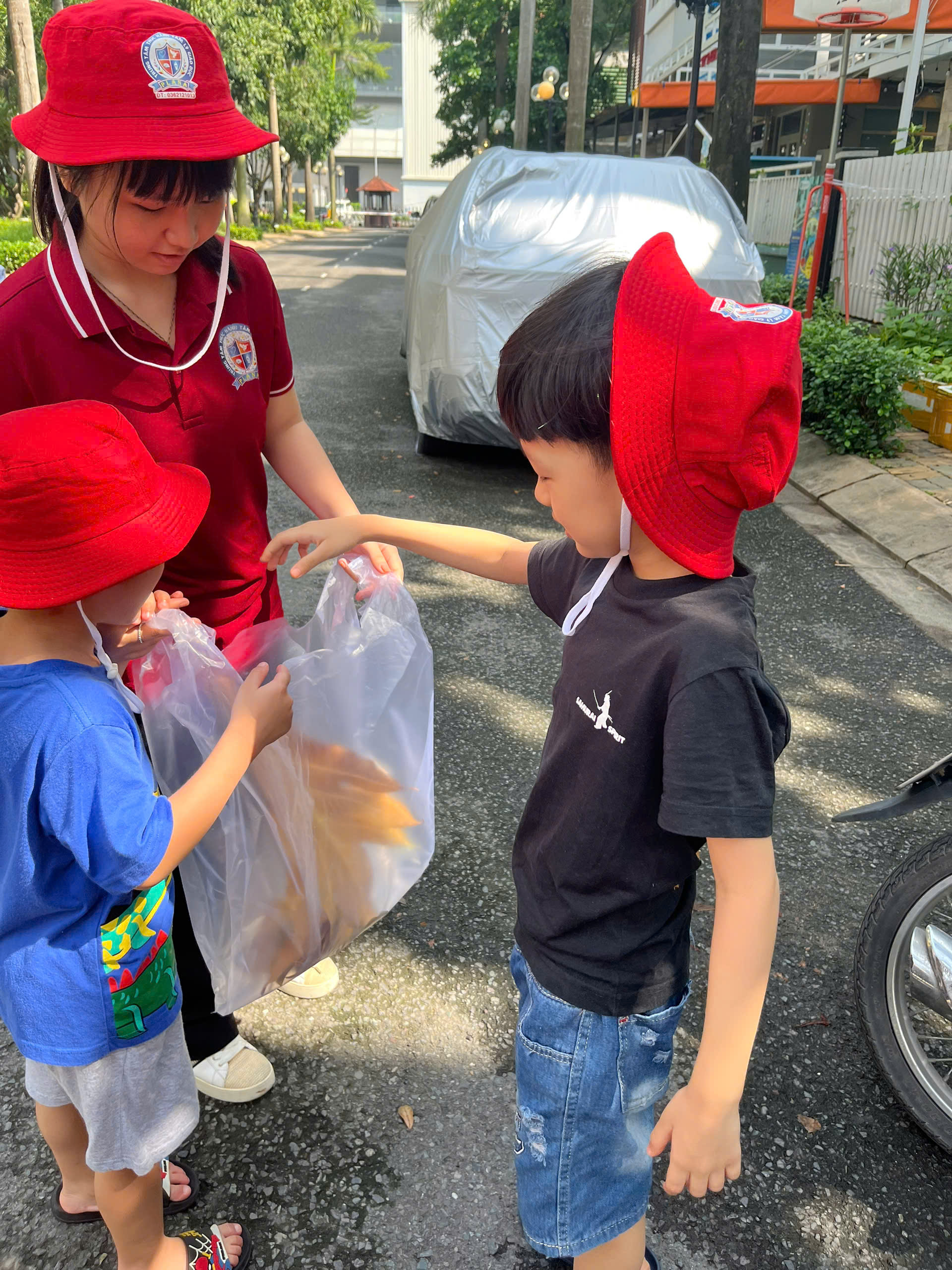 f72d82c8bd8637d86e97