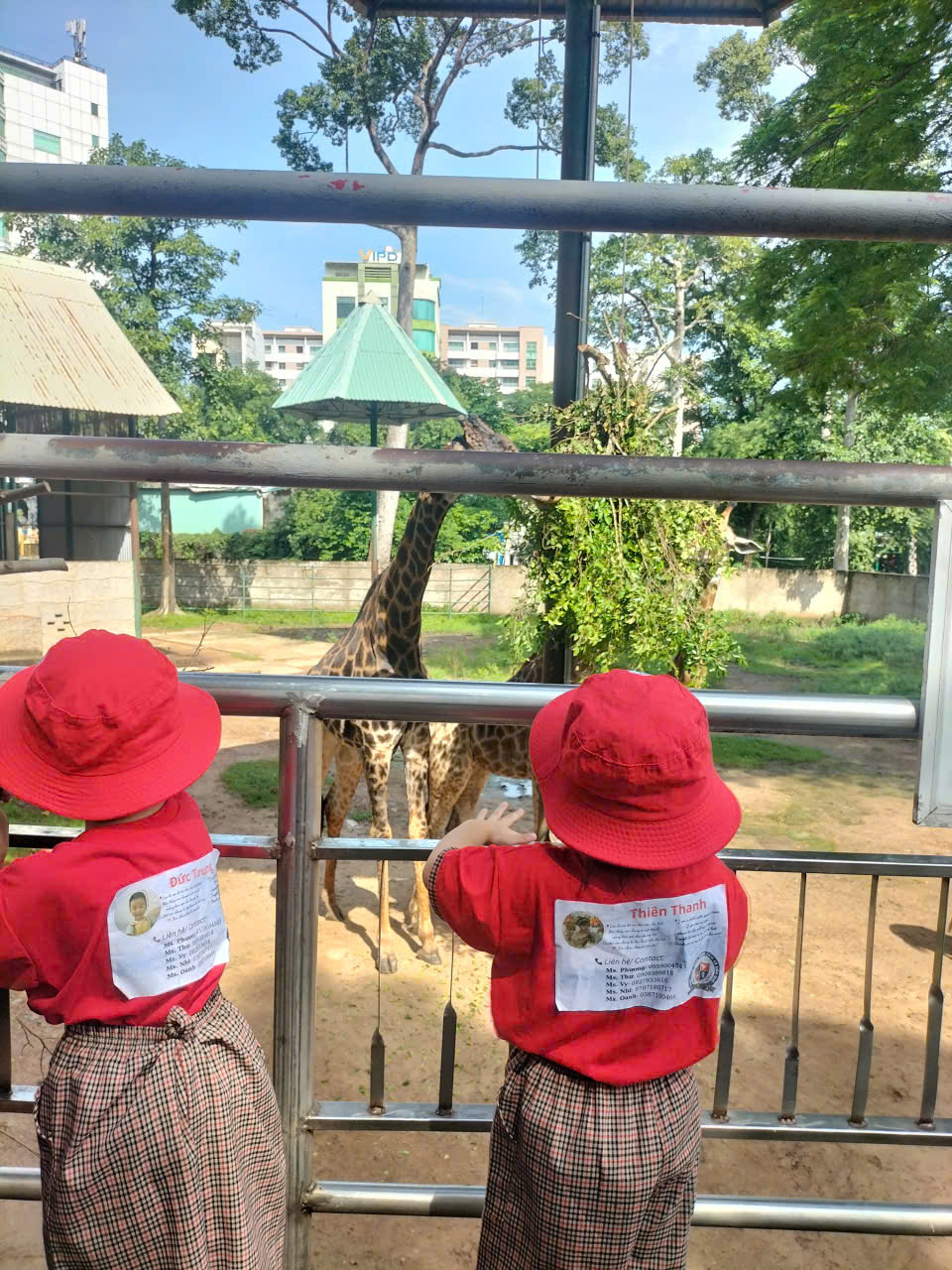 fa603647bf13324d6b02